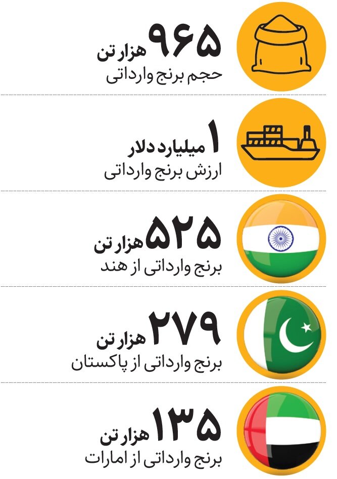 رشد عجیب واردات برنج در سال گرانی!