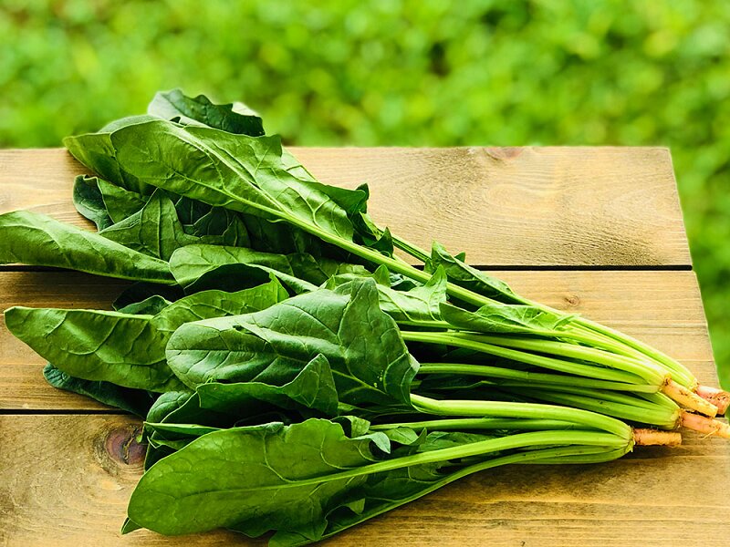 ۴ خوراکی ویژه برای روزهای آلوده