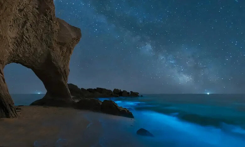 سمفونی رنگ‌ها در سواحل جنوبی