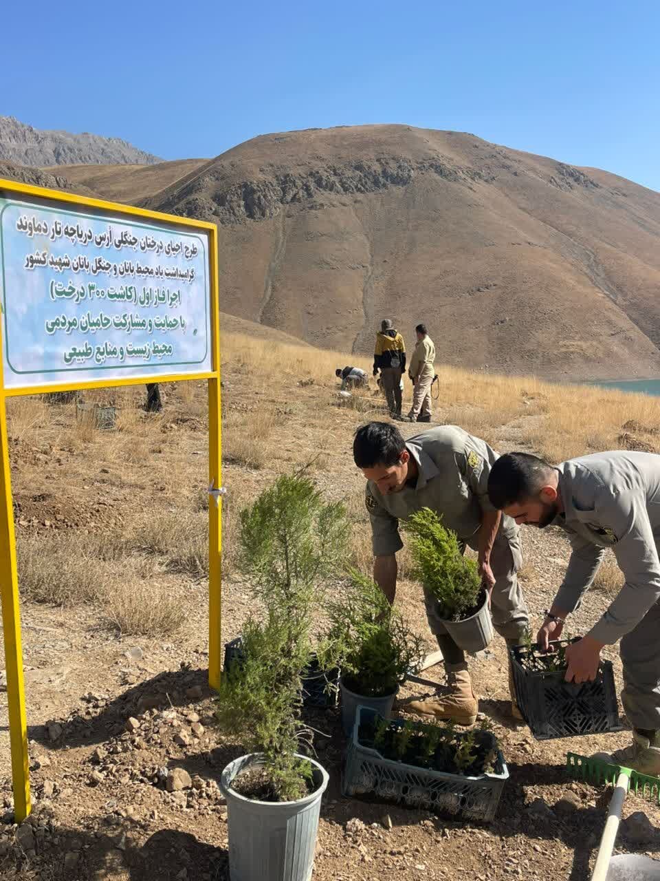 اسناد مالکیت قله و دامنه دماوند به نام منابع طبیعی صادر شد | دماوند به ثبت جهانی نزدیک شد