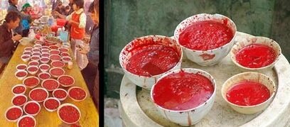 چندش آورترین غذاهای جهان ؛ اینجا جنین را هم می خورند + تصاویر | بفرمایید نوشیدنی مار و سوپ خون