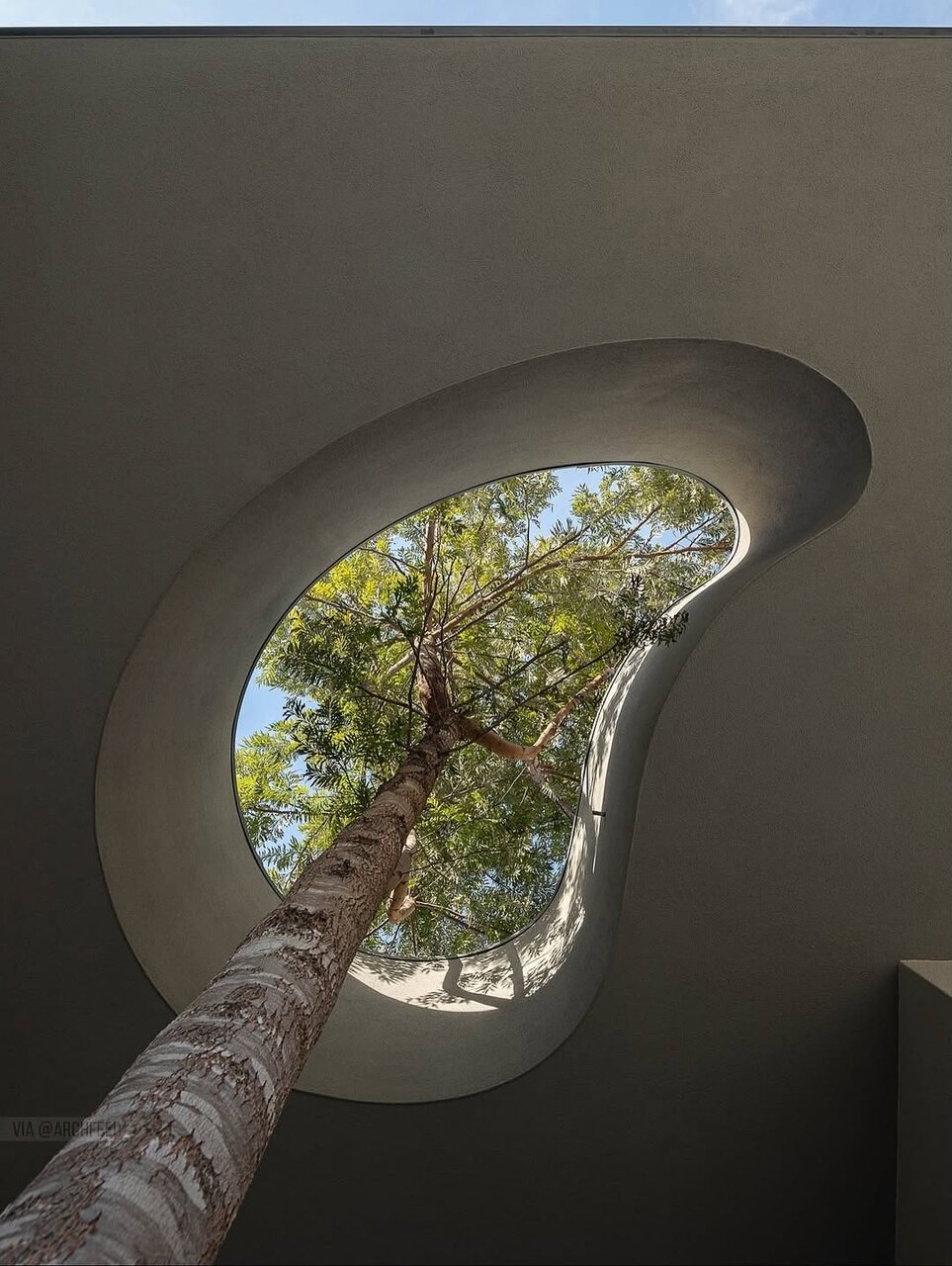 هنر نزد معمارانی که دوستدار محیط زیستاند