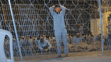 تشویق متهمان تعرض وحشیانه در دادگاه ! + ویدئو