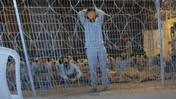 تشویق متهمان تجاوز به اسیر فلسطینی در دادگاه اسرائیل | ویدئو