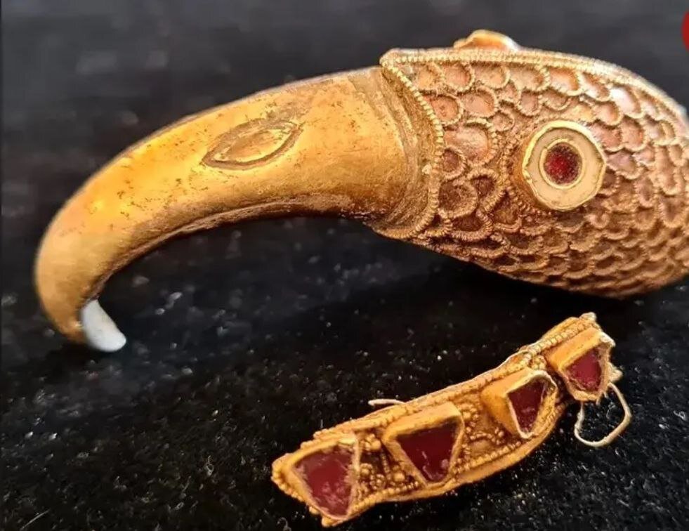 سر کلاغ طلایی پس از ۱۴۰۰ سال از خاک بیرون آمد | عکس