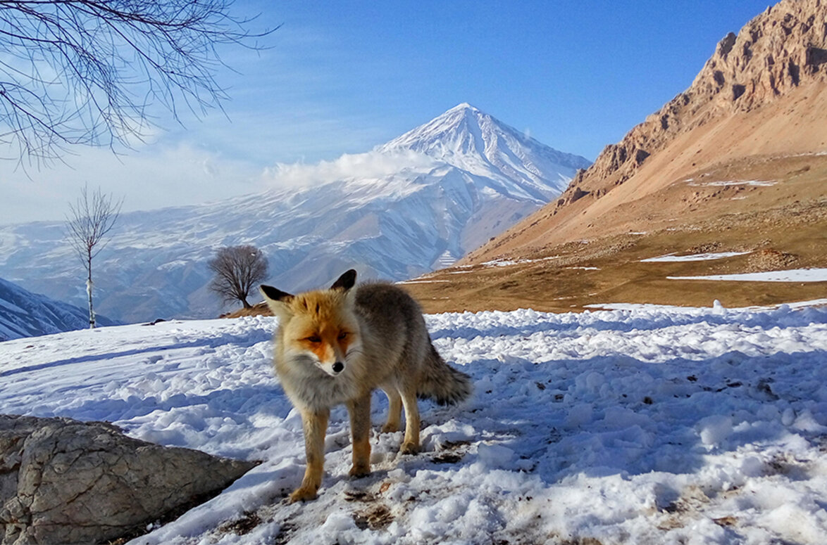  فوران زیبایی از کوه‌های آتشفشانی در ایران