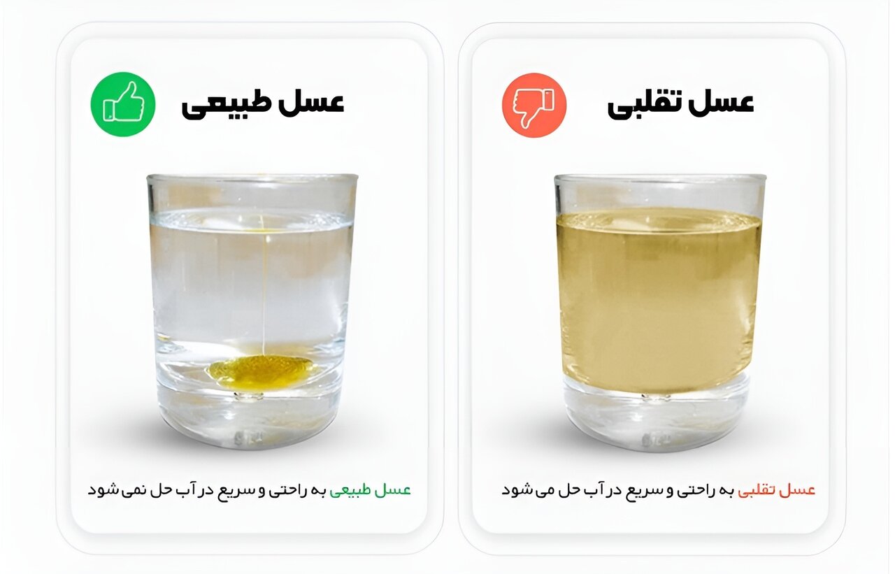 تست عسل طبیعی با آب سرد + ویدئو | ساده‌ترین روش خانگی برای تشخیص عسل طبیعی