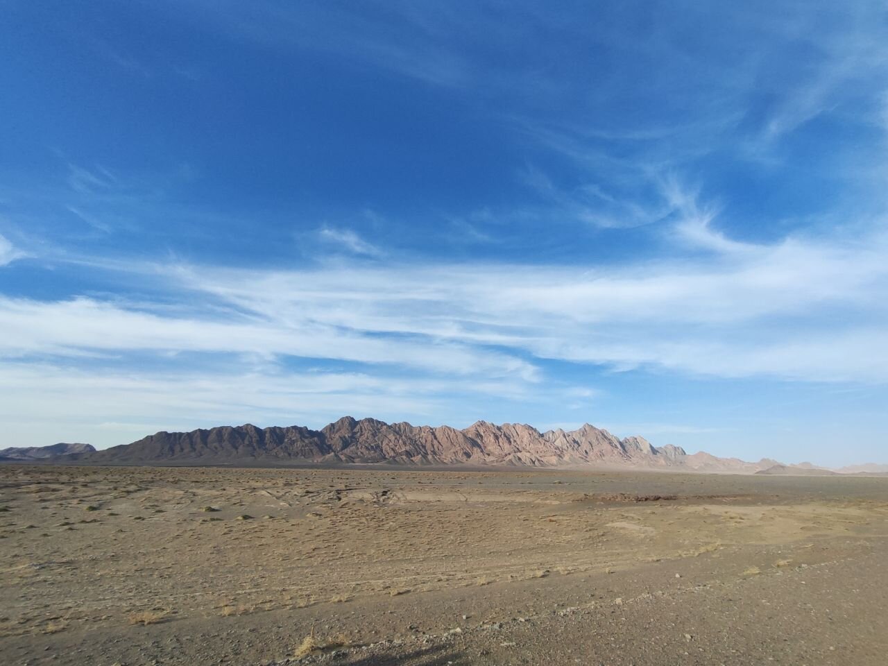 ماجرای شکارچی که با شکستن تفنگش محافظ حیات وحش شد | همراهی شکارچیان انارکی با قرق‌بان امروز کویر مشجری