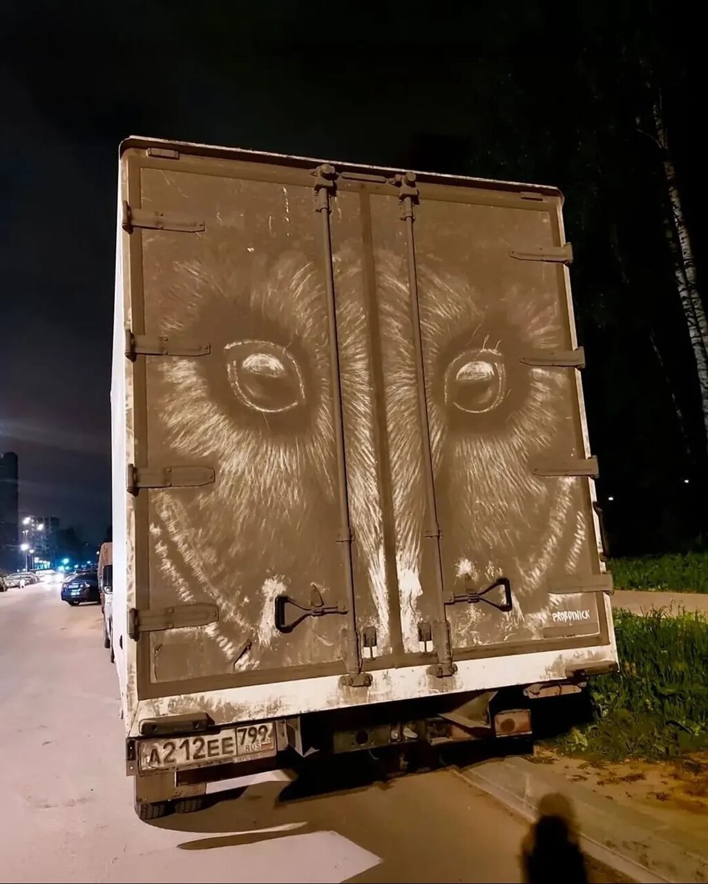 نقاشی های شگفت انگیز روی بومهای متحرک! | ببینید