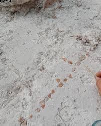 بازی باستانی در دل ویرانه‌های تمدن مایا | عکس