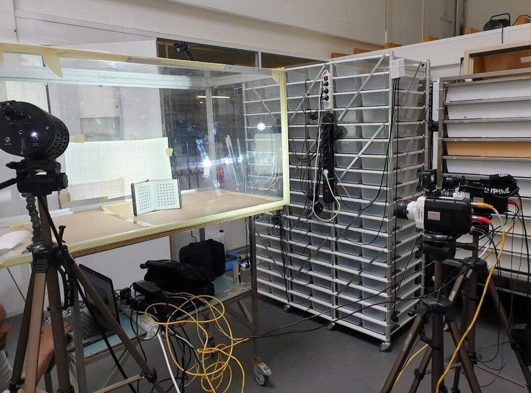 استراتژیهای متفاوت مارهای سمی در یکهزارم ثانیه!