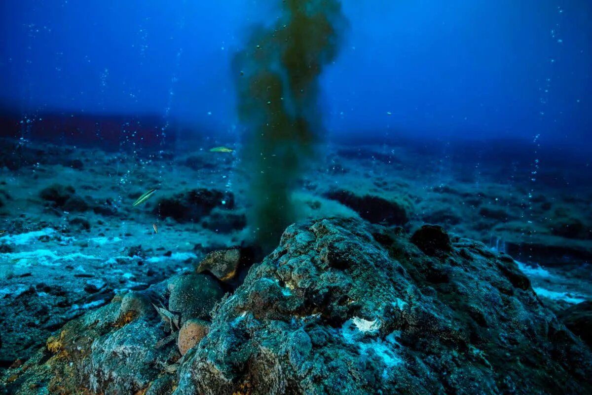 زندگی در مکانی غیرممکن؛ میکروب‌هایی که در آتشفشان‌های زیر دریا زندگی می‌کنند