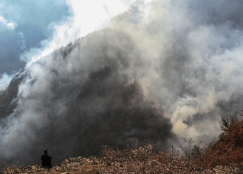 جنگل‌های چالوس در آتش + ویدئو | تصاویری از تلاش برای اطفای حریق