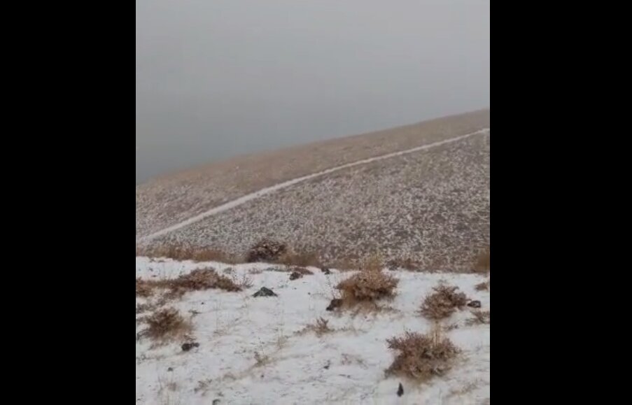 تصاویری از نخستین برف در دماوند