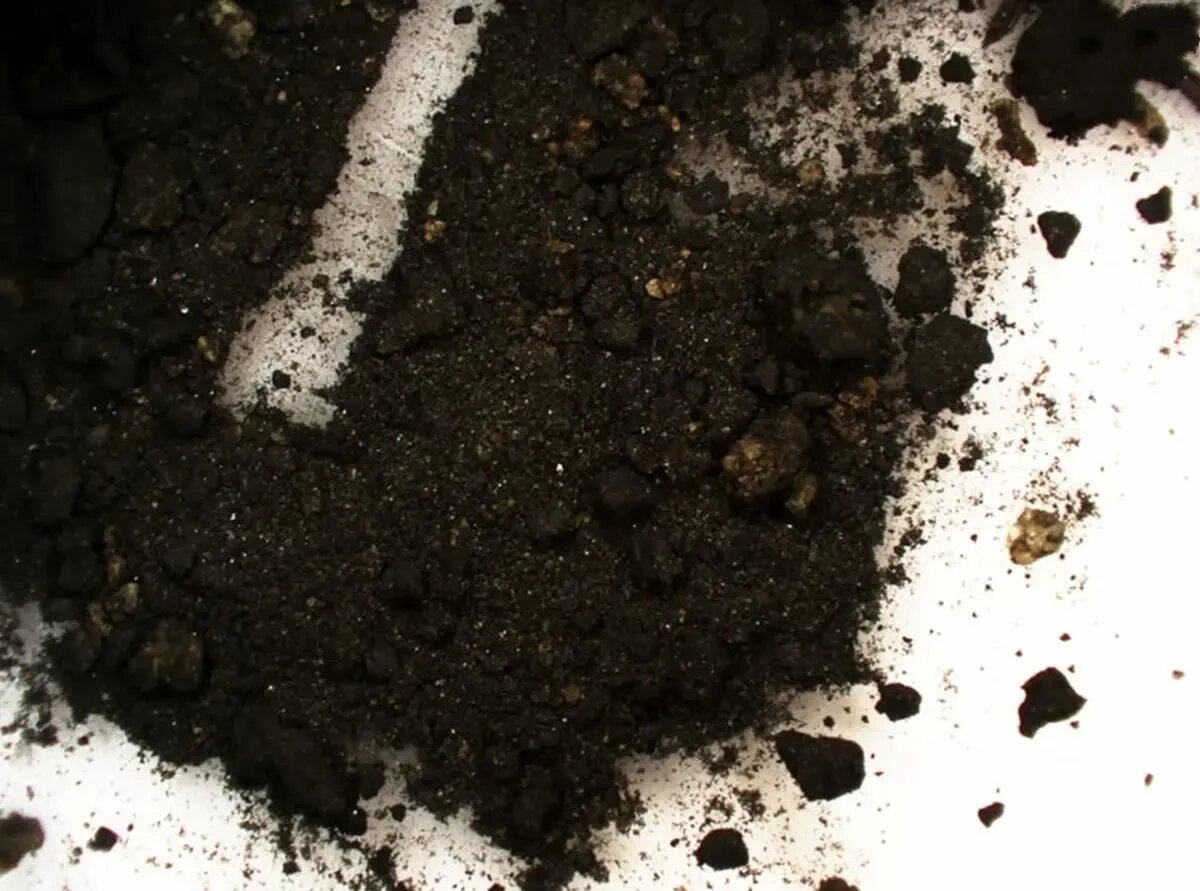 مرکبی که نباید اثری از آن باقی می‌ماند! | عکس