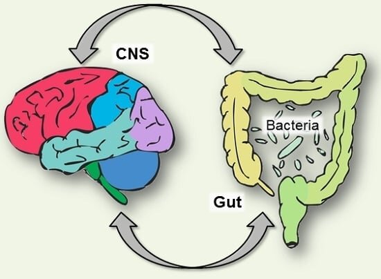 کشف معمای مغز دومی که زیر دندهها زندگی میکند | رودهها فکر میکنند و تصمیم میگیرند؟