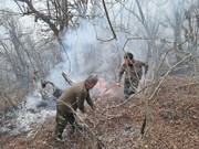 استفاده از بیل برای خاموش کردن آتش جنگل های الیت | ویدئو