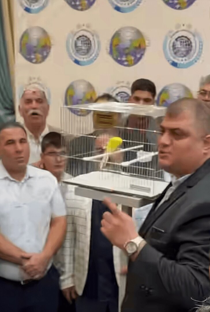 پشت پرده معاوضه قناری با ۴.۵ کیلوگرم طلای خالص+ تصاویر | درآمد به اندازه حقوق ماهانه ۵ هزار کارمند