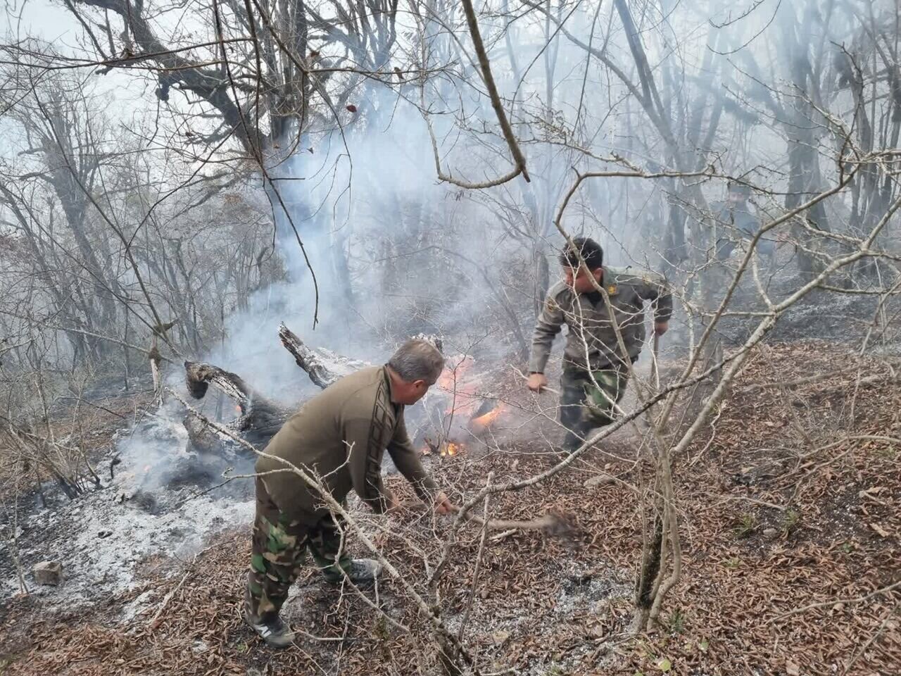 استفاده از بیل برای خاموش کردن آتش جنگل های الیت | ویدئو