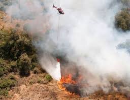 راهکارهای علمی برای مهار شعلههای آتش در منابع طبیعی | از تکنیکهای جهانی تا چالشهای ایران