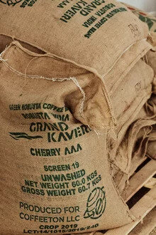 واردات دانه قهوه