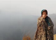 خراب‌کاری عمدی در کشور؛ ۲۰ نفر دستگیر شدند | با نوع متفاوتی از تروریسم غربی علیه ایران طرفیم