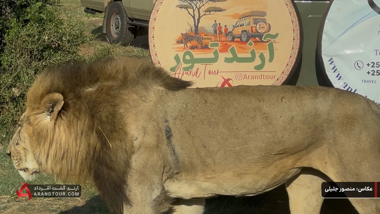 تور تانزانیا با آرند تور