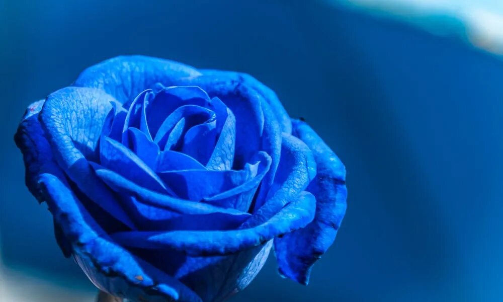 رنگ آبی در روانشناسی به چه معناست؟