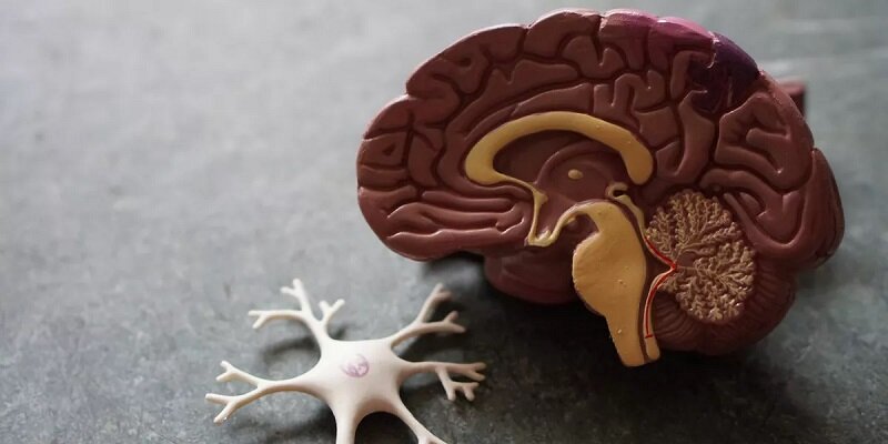 این علائم سرطان مغز را جدی بگیرید