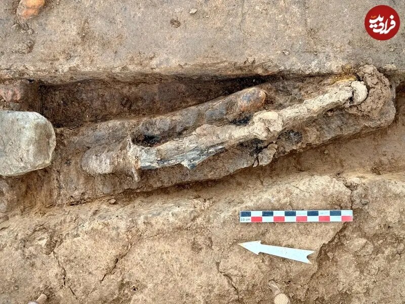 از کریستالهای مرموز تا طلای خالص | کشف قبر ۱۸۰۰ ساله در یک مکان غیرمنتظره + تصاویر