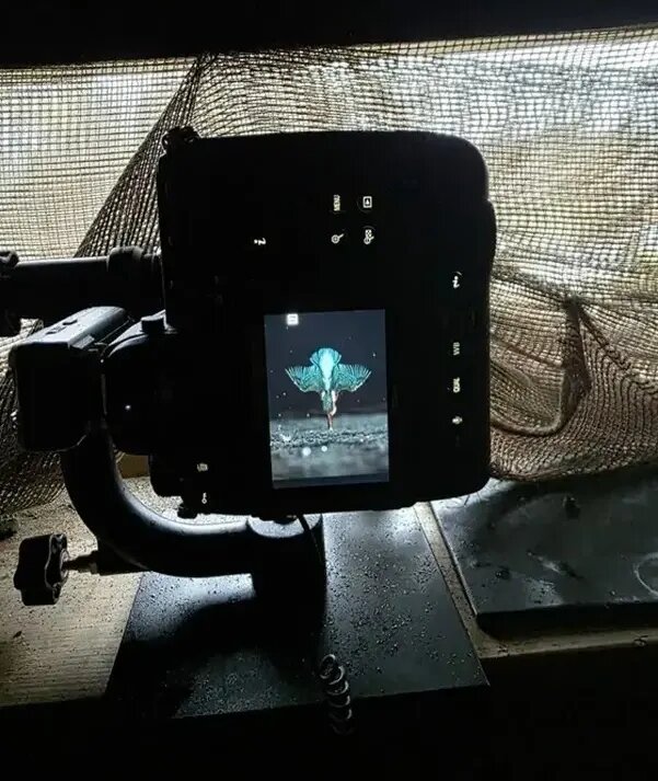 ۶ سال انتظار برای گرفتن این عکس استثنایی! | عکس