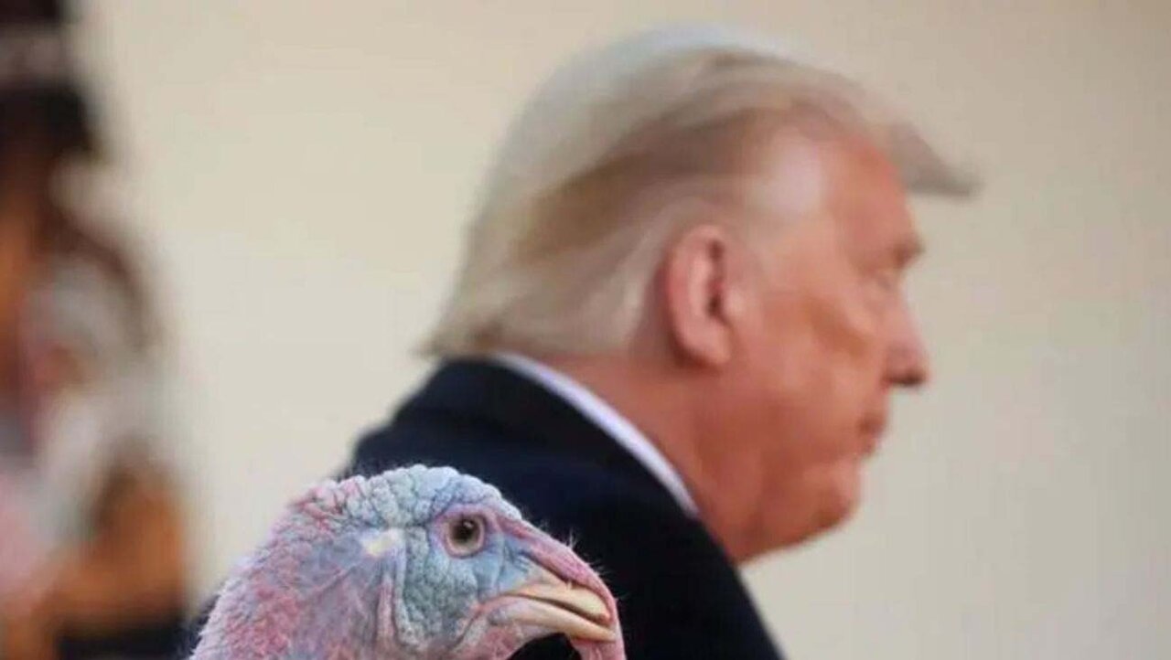 چرت زدن ترامپ در جلسه کابینه آمریکا + تصاویر