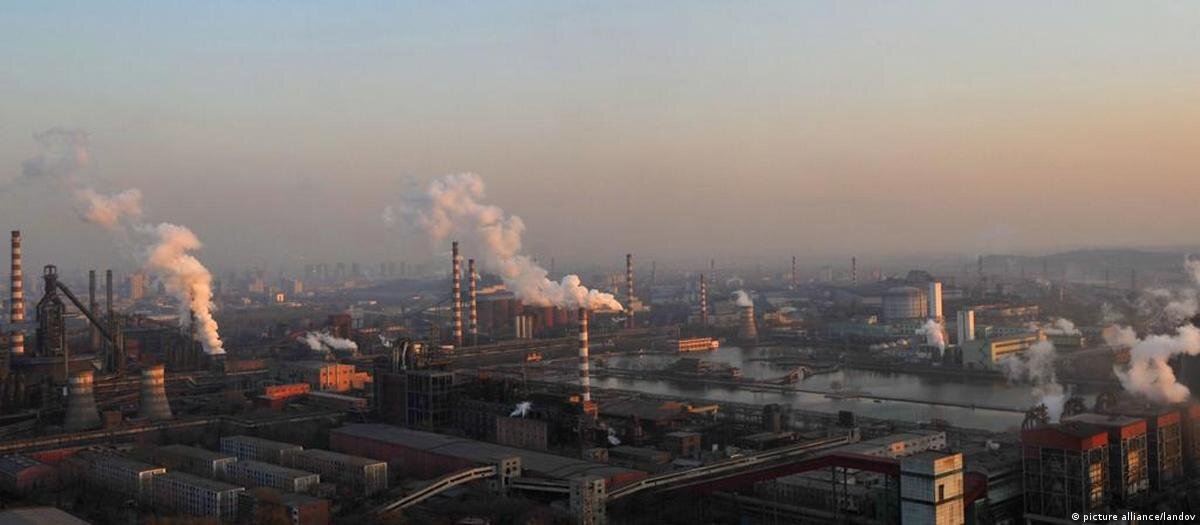 کشف پدیده‌ای شگفت‌انگیز در ژاپن | میکروب‌هایی که آلودگی هوا را می‌خورند