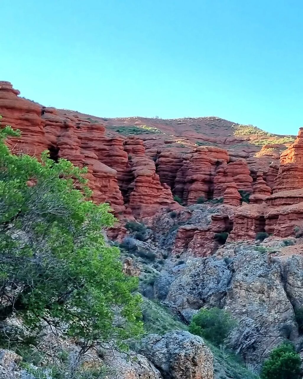 تماشای فرازمینی‌ها در ایران!