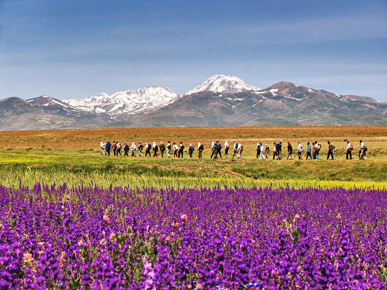 اشتیاق نسل «زد» به طبیعت گردی + متولدان دهه ۷۰ تا ۹۰ چطور آینده گردشگری را تغییر می دهند؟