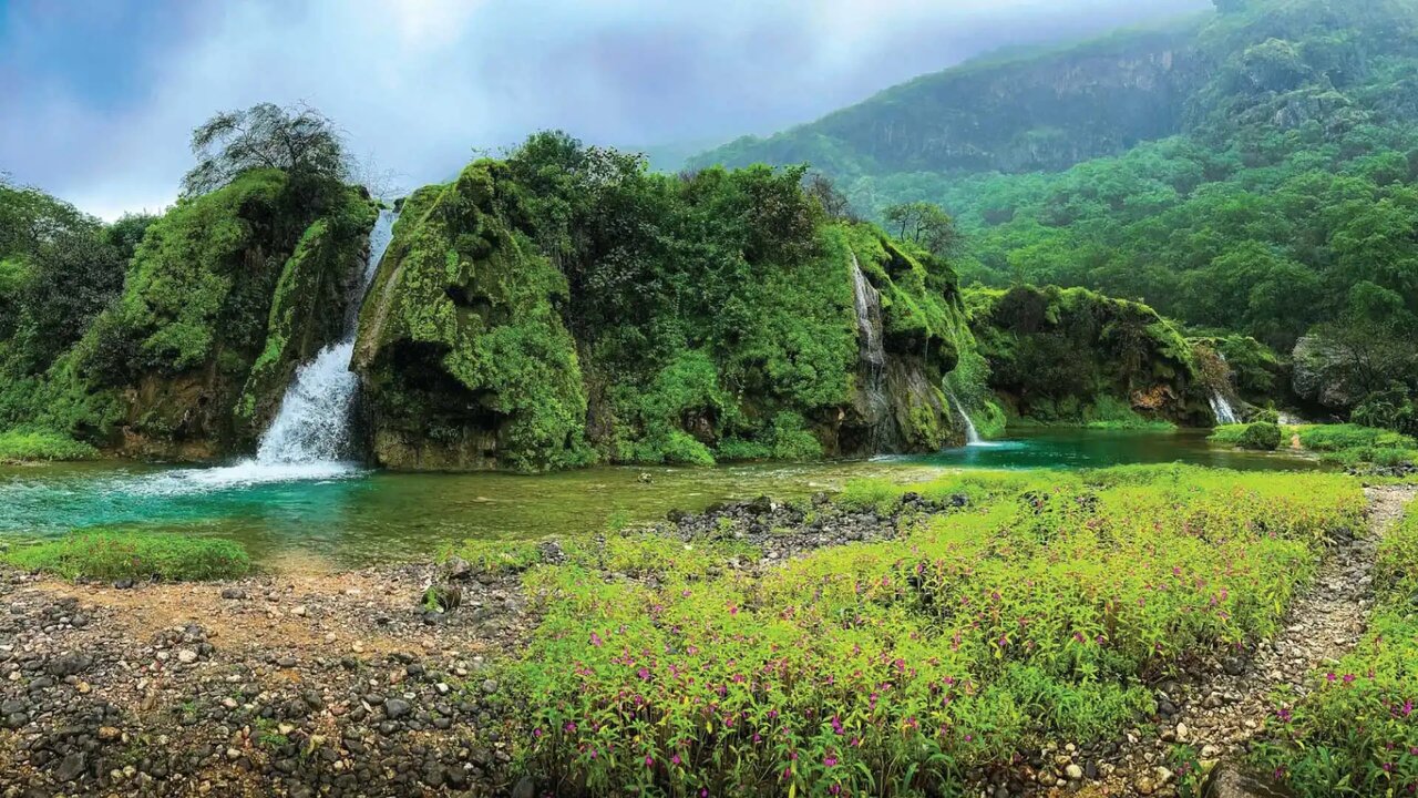 گنجینه های سبز ایران | چند پهنه جنگلی در کشور وجود دارد؟