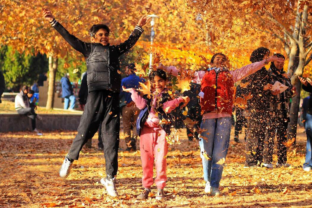 رقص برگ‌ها در پایتخت تاریخ و تمدن