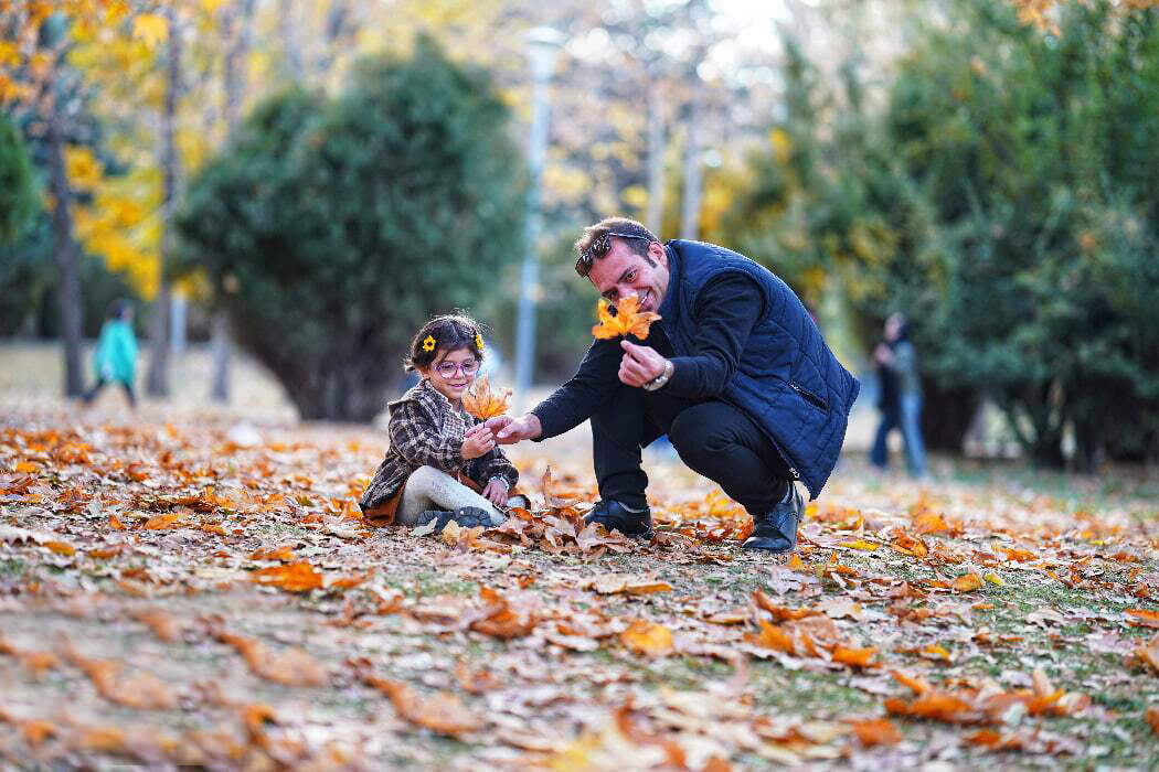 رقص برگ‌ها در پایتخت تاریخ و تمدن