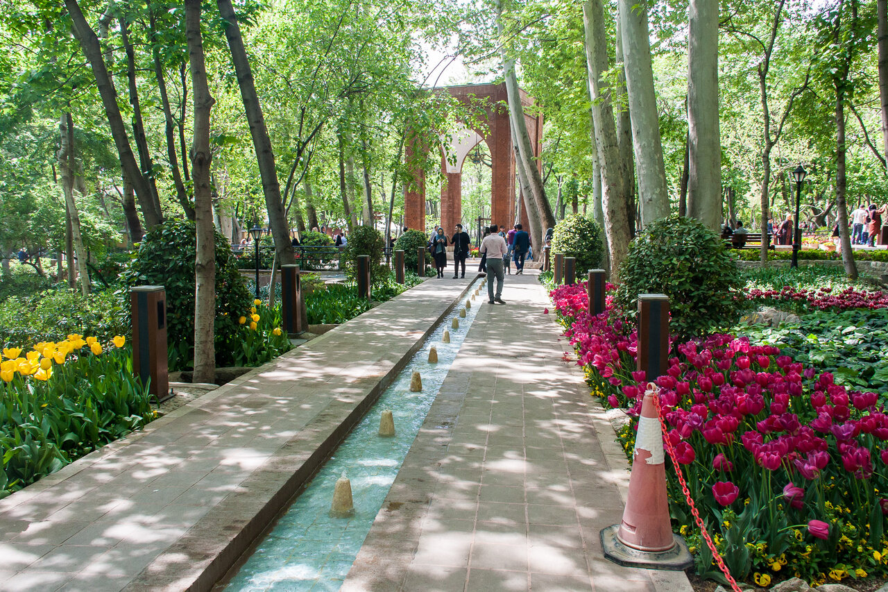 پرندهنگری در آسمان تهران