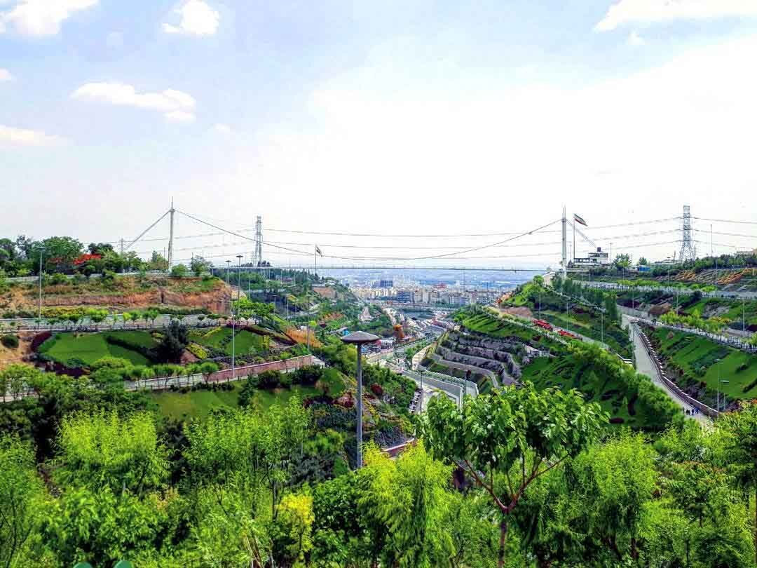 پرندهنگری در آسمان تهران