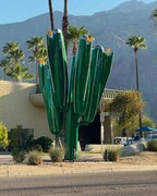 کادیلاکتوس، درختی از خودرو!