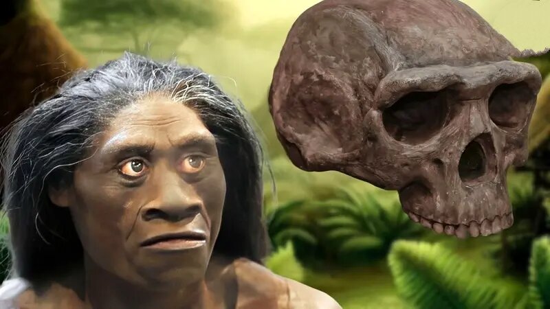 ملاقات انسان‌ها و هابیت‌ها ۶۰ هزار سال قبل!