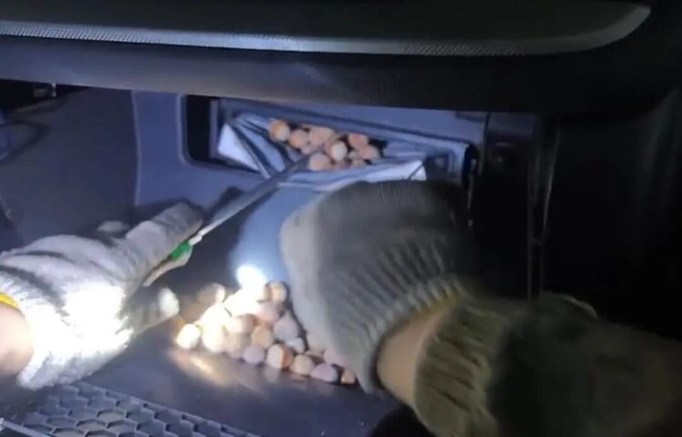 موتور فندقی