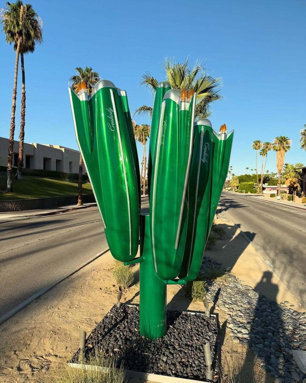 کادیلاکتوس، درختی از خودرو!