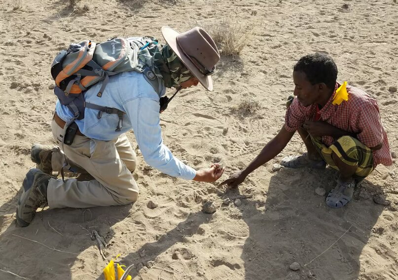 کشف راز ۳.۵ میلیون ساله | اجداد ما از دو گونه انسانی متفاوت بودند