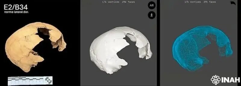 انسان‌هایی با سر مربعی! + عکس | جمجمه مربع‌شکل ۱۵۰۰ ساله را ببینید