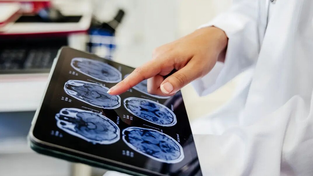 ساعتهای پنهان مغز | چرا برخی خاطرات هرگز پاک نمیشوند؟