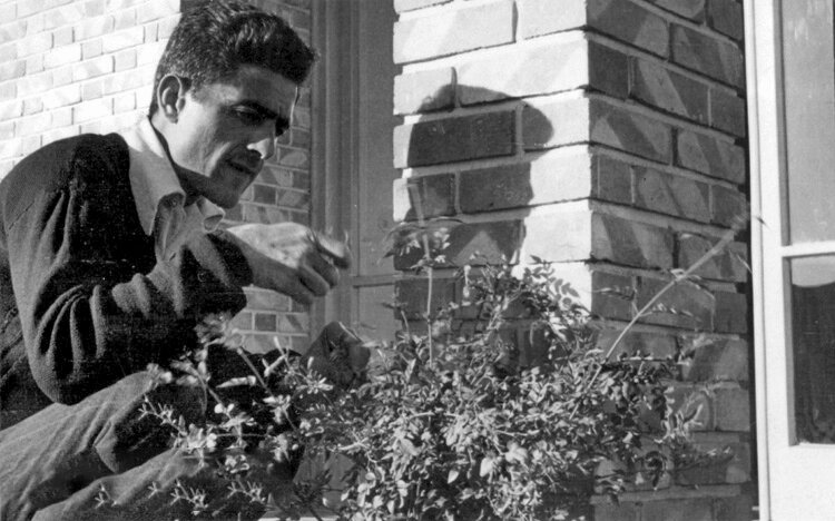 جلال شما را کتابخوان میکند!