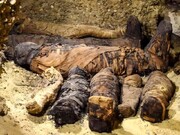 کشف یک قبر خانوادگی بزرگ با ۵۰ جسد مومیایی شده | تصاویر