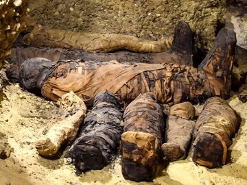 کشف یک قبر خانوادگی بزرگ با ۵۰ جسد مومیایی شده | تصاویر